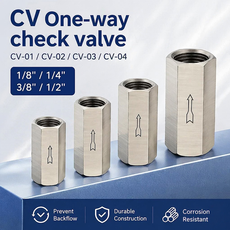 Compression Fitting Brass - Stainless Steel Female Thread Check Valve